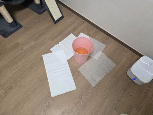 부산진구 누수탐지 거실 천장 누수 얼룩과 벽지 들뜸 상태를 확인하는 장면