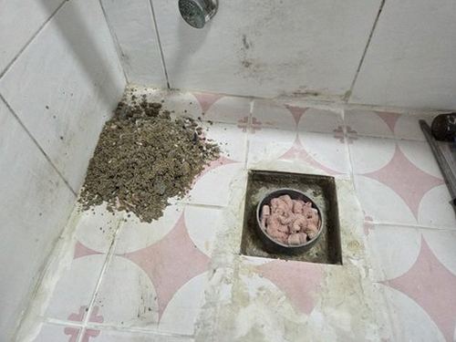 부산진구 누수탐지 욕실 타일 줄눈 변색과 배수구 주변 얼룩 상태