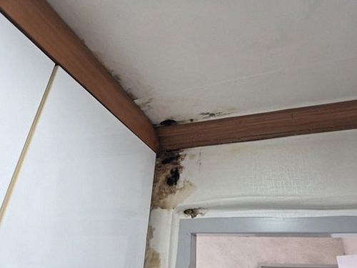 부산진구 누수탐지 천장 얼룩 형태를 확인하는 현장 점검 장면